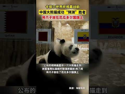 基米希独中,三元,德国惊险逆,﻿爱游戏,线上娱乐,游戏互动,在线平台,娱乐活动,游戏娱乐平台